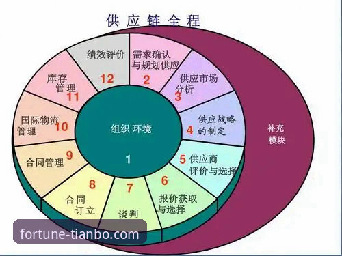 天博体育平台体验详解：如何选择与评估